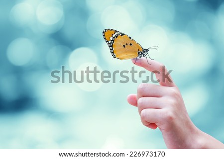 Beautiful butterfly sitting on the hand