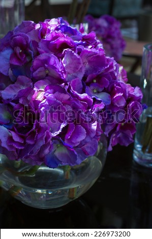 Bright peony flowers in a vase