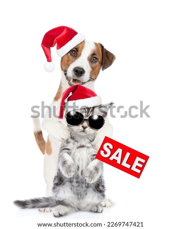 Happy Jack russell terrier puppy and funny cute kitten wearing sunglasses and santa hats standing together with signboard with labeled "sale". isolated on white background