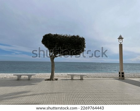 Beautiful picture of the Altea promenade that shows a stone bench, a tree and a lamppost with the Mediterranean Sea in the background