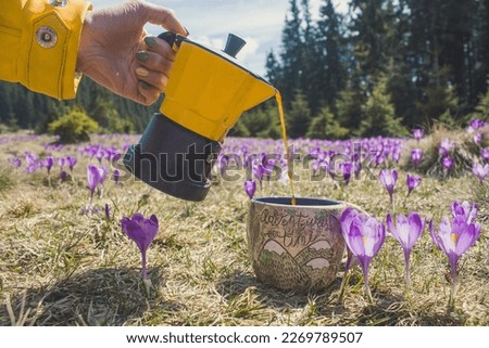 Close up pouring coffee into mug from camping kettle concept photo. First hand view photography with forest on background. Natural light. High quality picture for wallpaper, travel blog, magazine