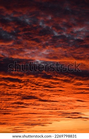 Orange, red, sunset background - colors and wonderful nature. Abstract background image for psychology, nutrition, magic. Fashionable neutral picture.