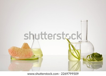 Pink pomelo slices placed on petri dish and some laboratory glassware on minimalist white background. Promotion for cosmetic product extracted from pink pomelo (Citrus maxima)