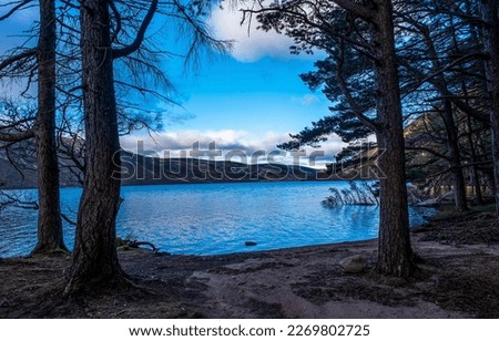 On the shore of a forest lake. Lake in forest. Lakeshore of forest lake. Forest lake view Royalty-Free Stock Photo #2269802725