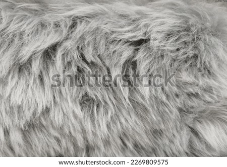 top view of fur Fur pattern background. Texture of shag. Wool texture. Imitation fur close-up.