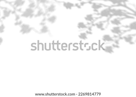 Silhouette Cherry Blossom Shadow on white background, Illustration isolated transparent of Shadow leaves overlay on Wall,Concept for elements design decoration for Spring, Summer Backdrop Background Royalty-Free Stock Photo #2269814779