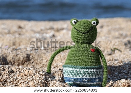 Crochet Frog toy on the beach. Cute amigurumi toy sitting on sand, blue sea on a background. 