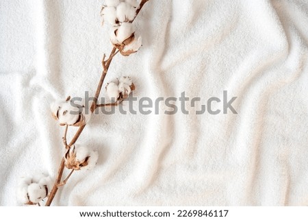 Dried branch of cotton plant with flowers on soft white elegance towel, space for text Royalty-Free Stock Photo #2269846117