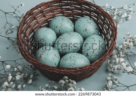 Banner. Easter frame with eggs and feathers on a blue wooden background. Minimal concept. View from above. Card with copy space for text.