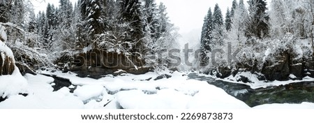 The fabulous Enguri river valley in winter