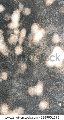 The gray shadow of the leaves lays on the ground in the background