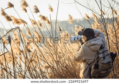 Photographer with camera hiding behind reeds at lake taking pictures of wildlife. Outdoors leisure activity Royalty-Free Stock Photo #2269921697