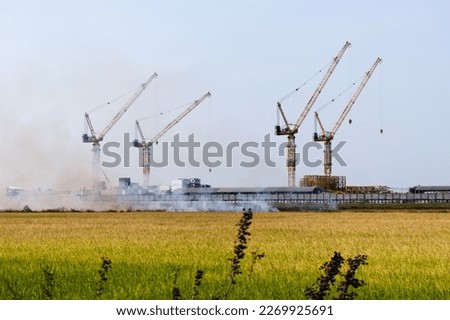 
Burning, fire destroying fields during severe drought Disasters regularly wreak havoc on the region's economy. The wheat field in the background is a crane. Prosperity is replacing the rice field.
