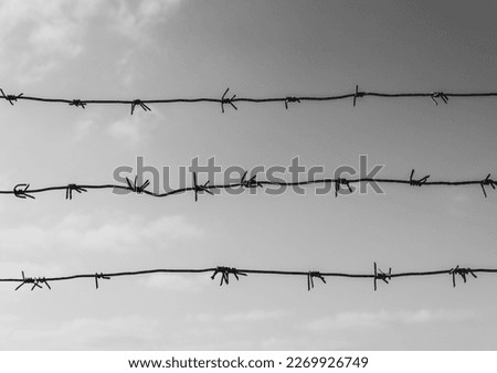 Barbed wire. Concept of imprisonment, slavery, human rights, freedom.