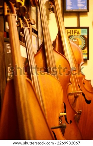 Orchestral string instruments look neatly lined up