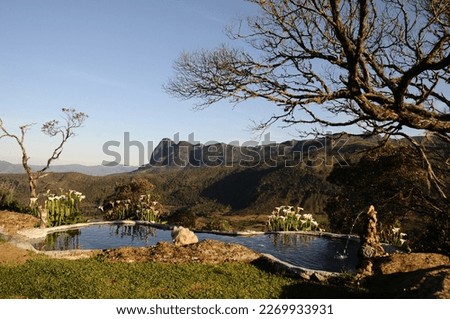 beautiful lake with lilies, blue sky and Serra do Papagaio in the background
