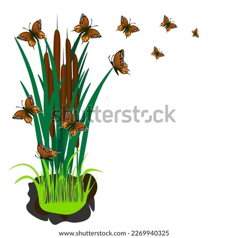 Vector graphics.Design elements. On a white background, several bushes of reeds. Brown beautiful butterflies circle above the brown reeds.