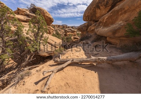 hiking the chesler park loop trail in the needles in canyonlands national park in the usa