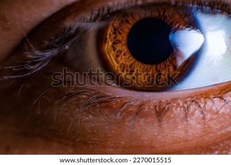 brown black eyes macro photography Royalty-Free Stock Photo #2270015515