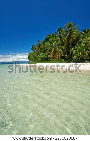 Tropical Caribbean beach in Bocas del Toro, Panama Royalty-Free Stock Photo #2270020687