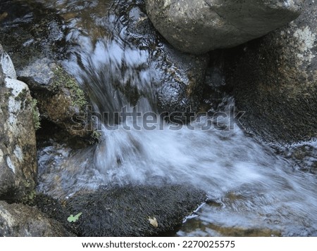 A babbling brook in Dartmoor
