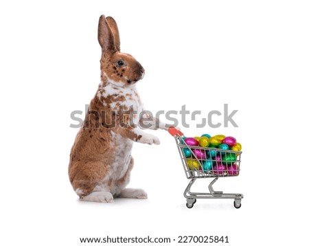 shopping trolley filled with multi-colored chocolates in the form of easter eggs isolated on white background