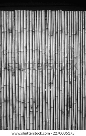 Bamboo Curtain in Black and White.