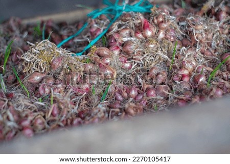 This photo showcases a stack of onions that is visually appealing and well-arranged. Each onion has a bright color and smooth texture. The neat arrangement gives a sense of cleanliness and orderliness