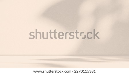 Background Shadow Studio Autumn Beige Plant Overlay Podium 3d White Light Design Table Product Room Empty Backdrop Bg Summer Minimal Place Kitchen Abstract Leaf Pattern Flower Texture Space Kitchen