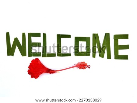 Welcome font green leaves and flower set on the white background.