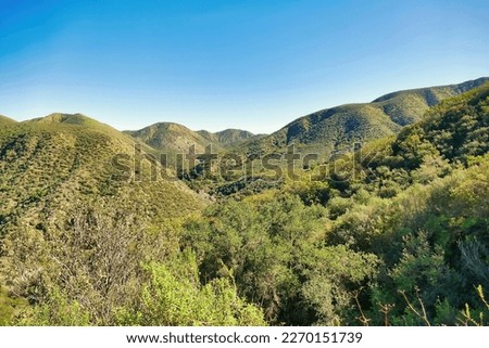The high hills of the Agua Tibia Wilderness in Cleveland National Forest, Southern California, USA
 Royalty-Free Stock Photo #2270151739