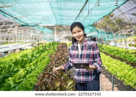  Asian female farmer wearing  is caring for organic vegetables inside the nursery.Young entrepreneurs with an interest in agriculture. Building a agricultural career at farm

