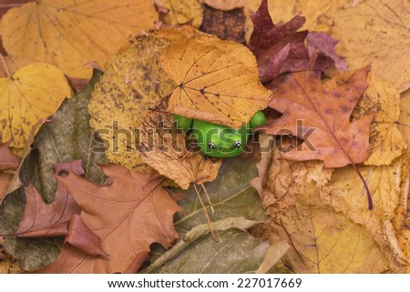 small frog toy in Autumn leaves