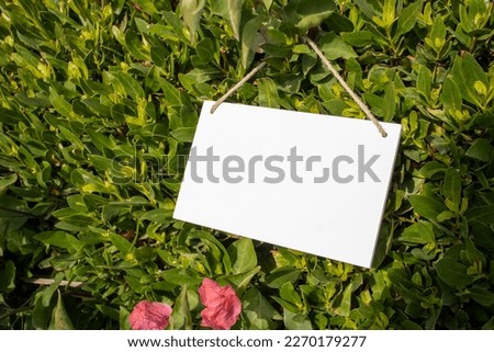 white hanging picture sign hanging on a hedge of green and pink flowers with empty free space for template or blank copy area