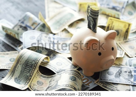 dollars in bundles on a white background with a piggy bank pig loan to save the bank business concept in a pandemic