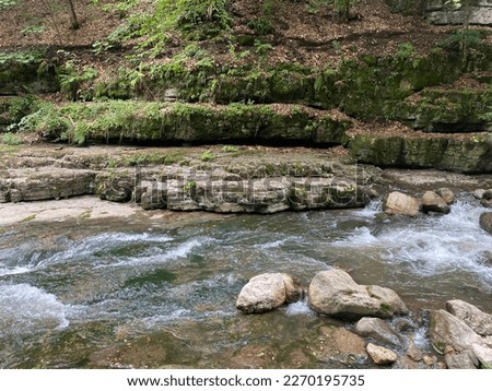 Mountain stream running along the rocks