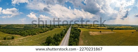 Panoramic aerial view of road between fields. Birds-eye view of the land with fields, meadows, and forest. Royalty-Free Stock Photo #2270231867