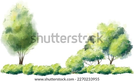 Watercolor tree vector in side view painting botanical for section and elevation.
isolated on white background for landscape plan and architecture layout drawing, elements for environment and garden
