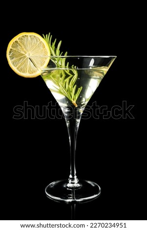 Martini cocktail with lemon slice and rosemary on black background