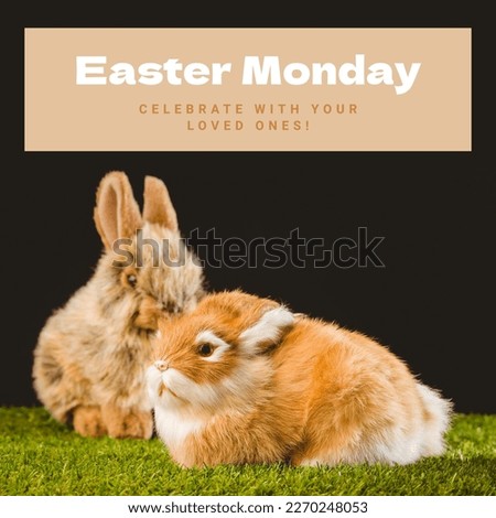 Image of easter monday text over rabbits on black background. Easter monday and celebration concept digitally generated image.