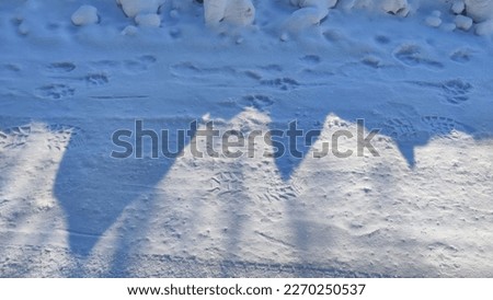 Dark shadow on the snow looks like a city with houses, domes, buildings. Background and texture for a fantastic picture. Sunny day in cold winter