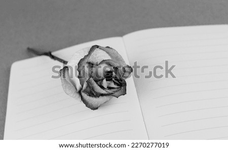 Black and white photograph of a dried rose on an open notebook