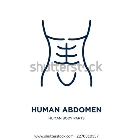 human abdomen icon from human body parts collection. Thin linear human abdomen, abdomen, medical outline icon isolated on white background. Line vector human abdomen sign, symbol for web and mobile Royalty-Free Stock Photo #2270310337