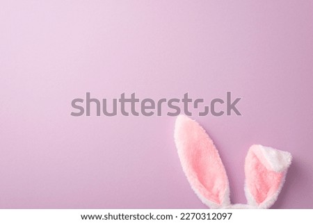 Easter celebration concept. Top view photo of fluffy easter bunny ears on isolated lilac background with copyspace