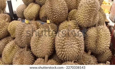 Group of fresh durians in the durian market. Royalty-Free Stock Photo #2270338143