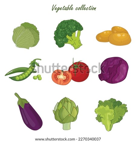 Fresh vegetables collection modern design.