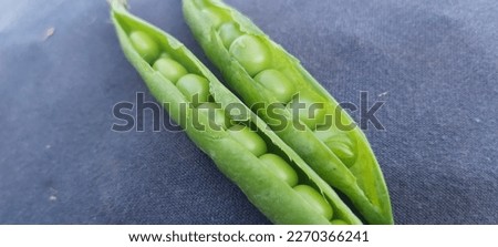 Fresh organic Peas opened pods with fresh grains inside
