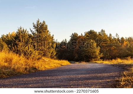 Sunrise early on a small road. Sunny misty morning on a country road. Scenic sunrise at fall. Beautiful colorful foliage at countryside pathway Royalty-Free Stock Photo #2270371605
