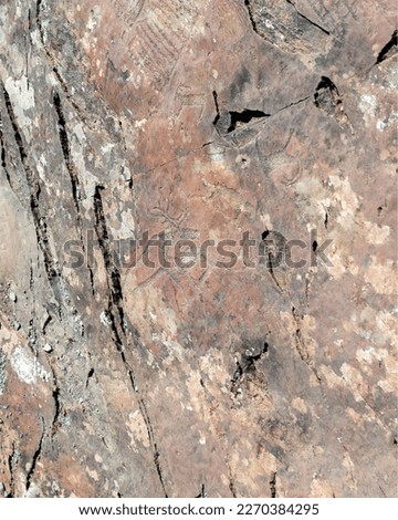 Rock paintings of ancient man animals and people hunters and strange on a stone in Altai in the sunlight.