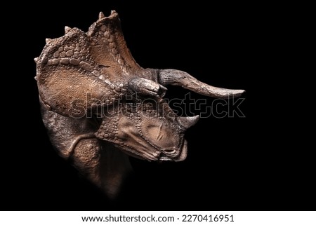The head of Triceratops  in the dark , dinosaur on black background Royalty-Free Stock Photo #2270416951